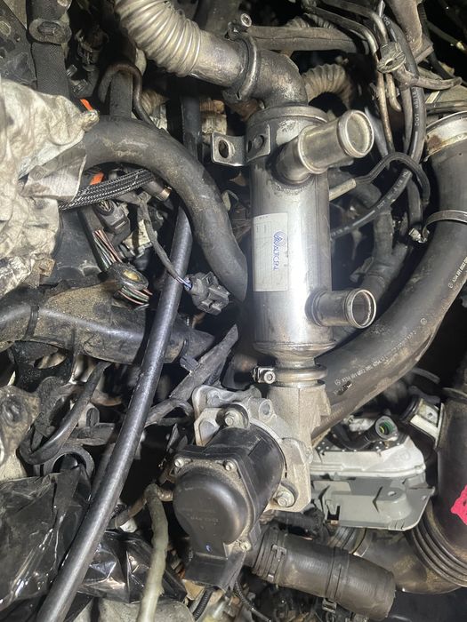 Egr z chlodniczaką komplet 1.6d/hdi volvo c30 s40 v50