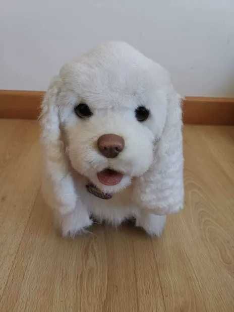 Cão GoGo FurReal Friends (brinquedo que anda)