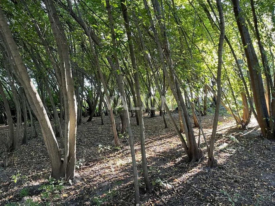 Продам дачу без сусідів під охороною перша лінія озера 45 соток