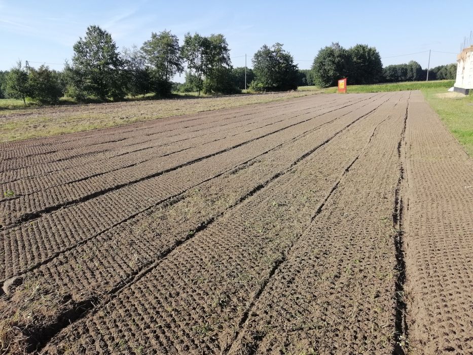 Przygotowanie Terenu pod trawnik, Glebogryzarką separacyjną