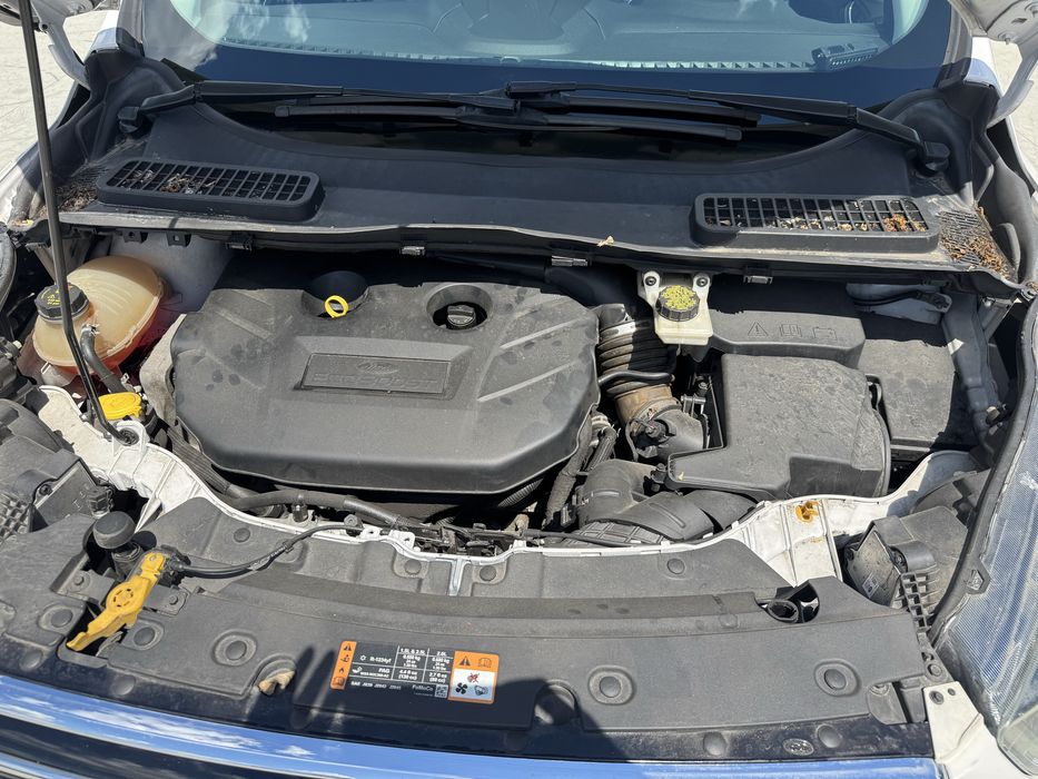 Ford Escape SE, 2017