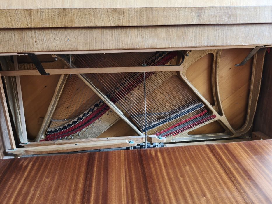 Pianino  marki Calisia