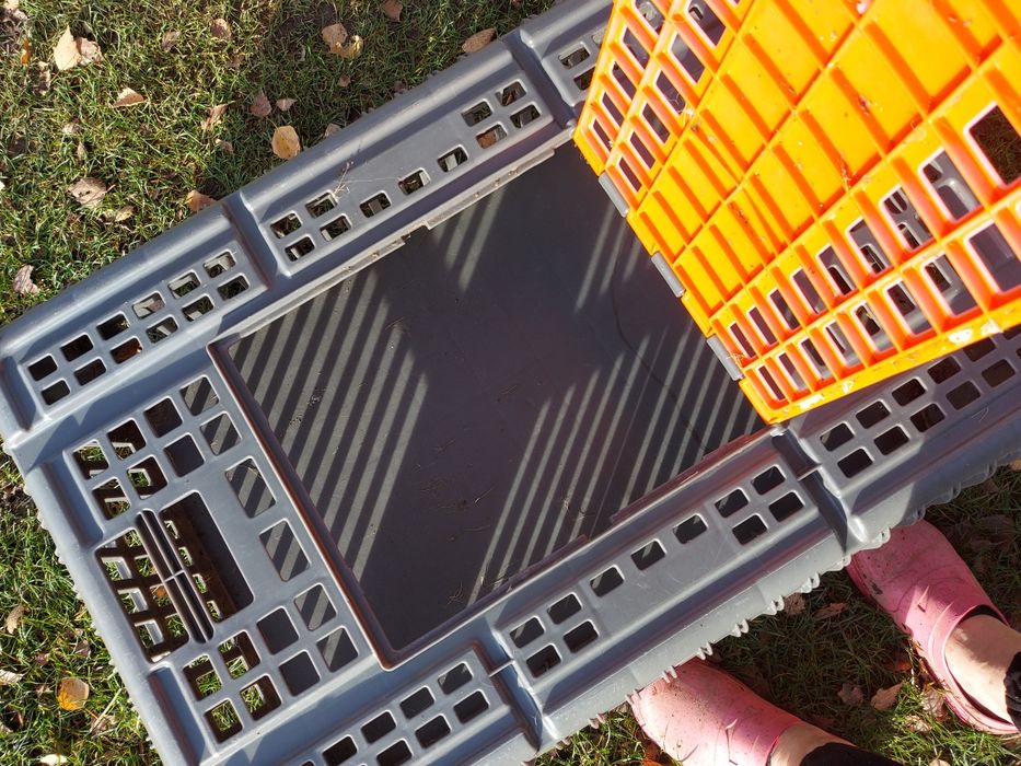 Klatka do przewozu kur