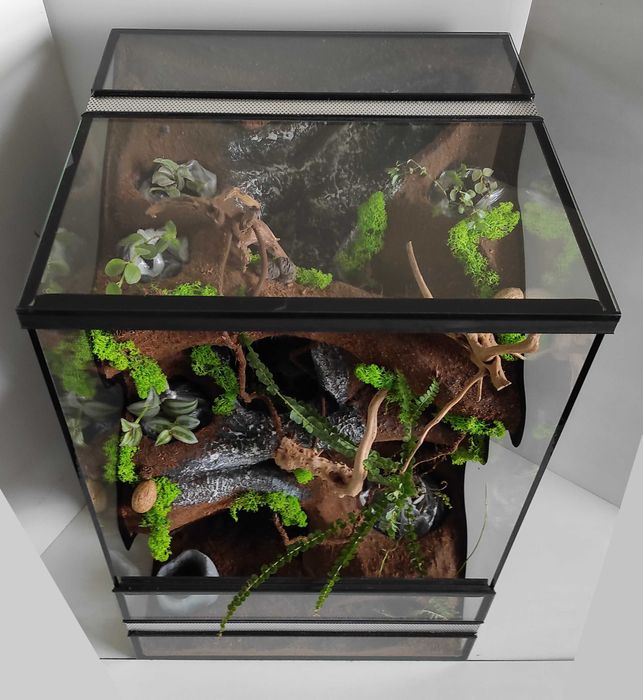 Terrarium dla gekona orzęsionego, TW44FO, AquaWaves