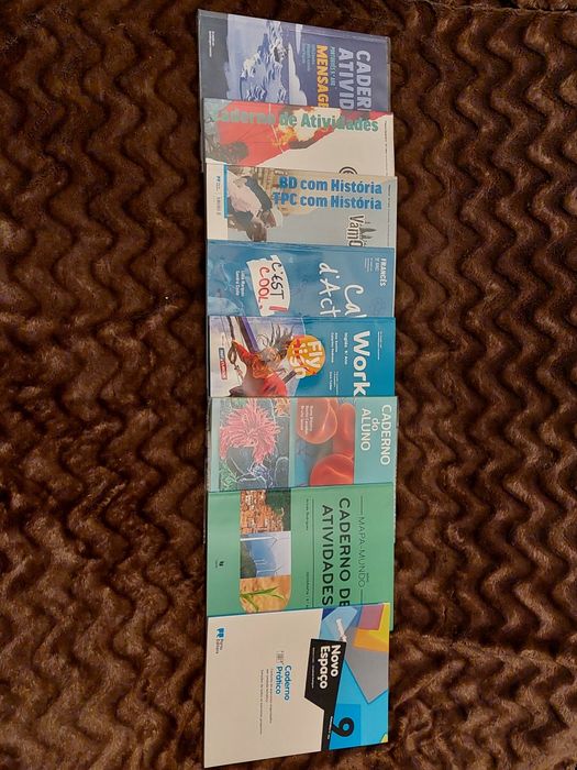 Cadernos de atividades do 5,6,7,8,9,10 ano (usados)