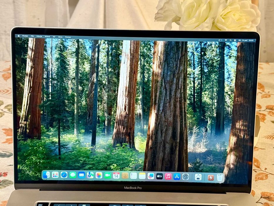MacBook Pro (16-inch 2019)｜i9｜32GB/1TB MacBook Pro (16-calowy, 2019 r.) - Dane techniczne