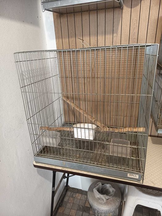 Gaiola para caturras de inox