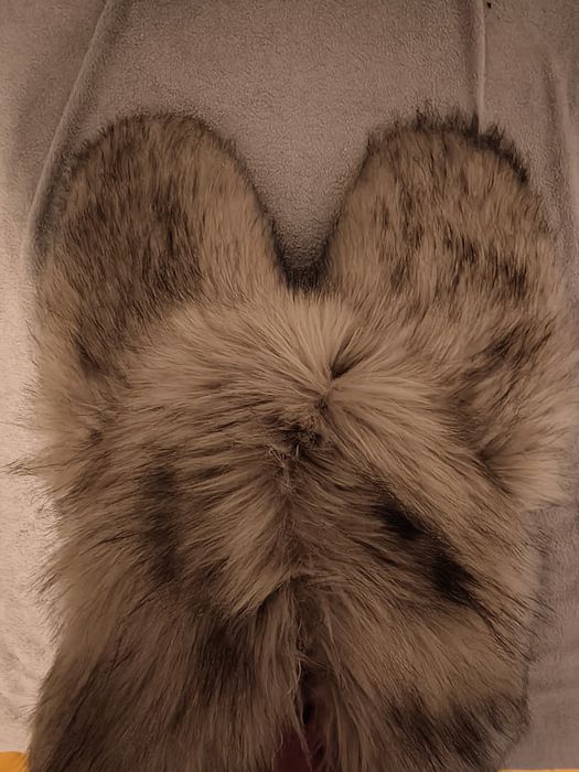Dino mask furry fursuit