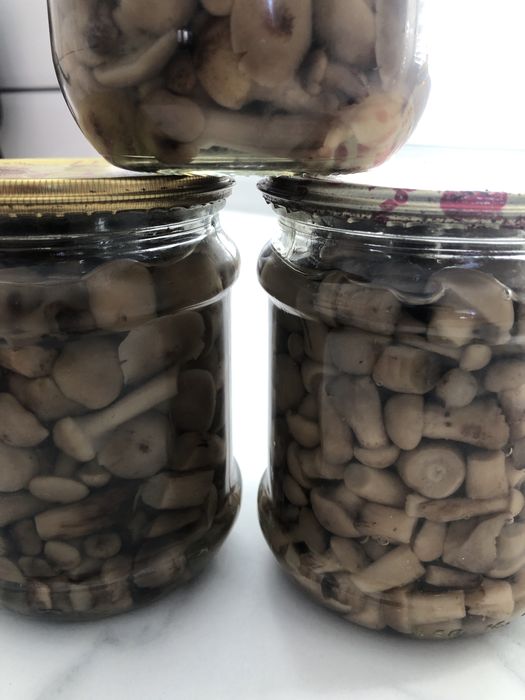 Опеньки мариновані 0,5 л