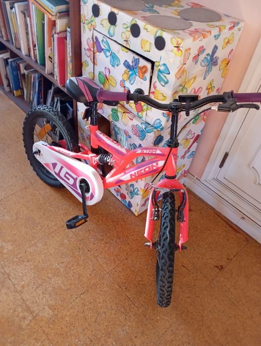 Bicicleta Néon Sport