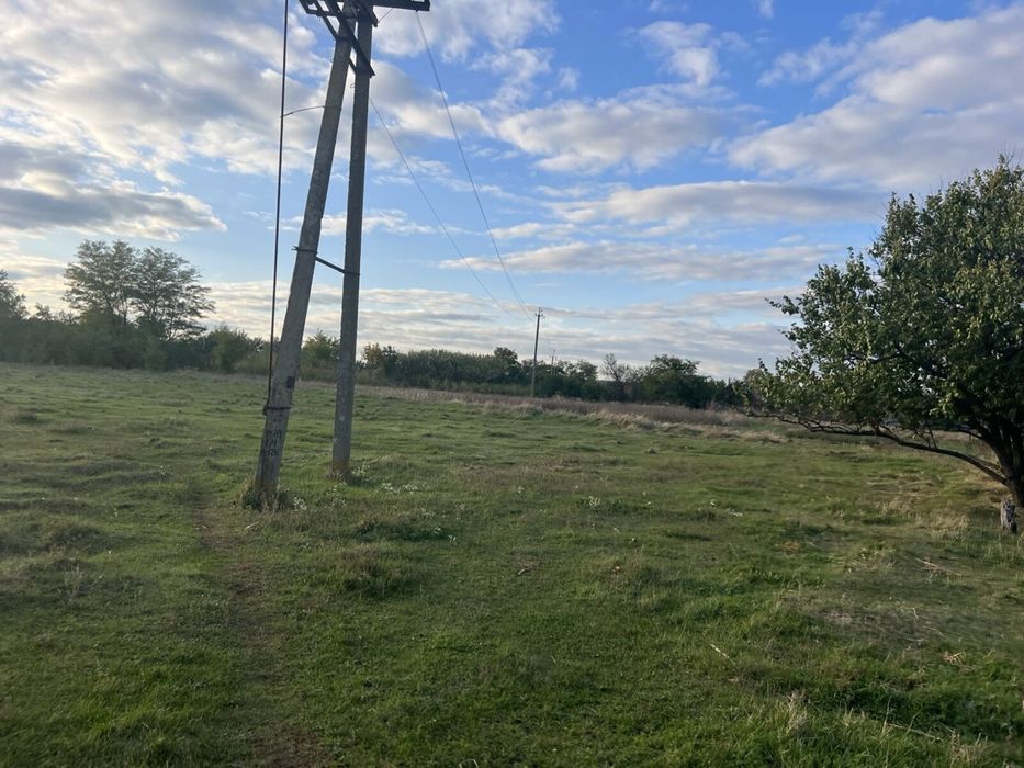 Продам 3 смежных участка общей площадью 50 соток! с. Башмачка.