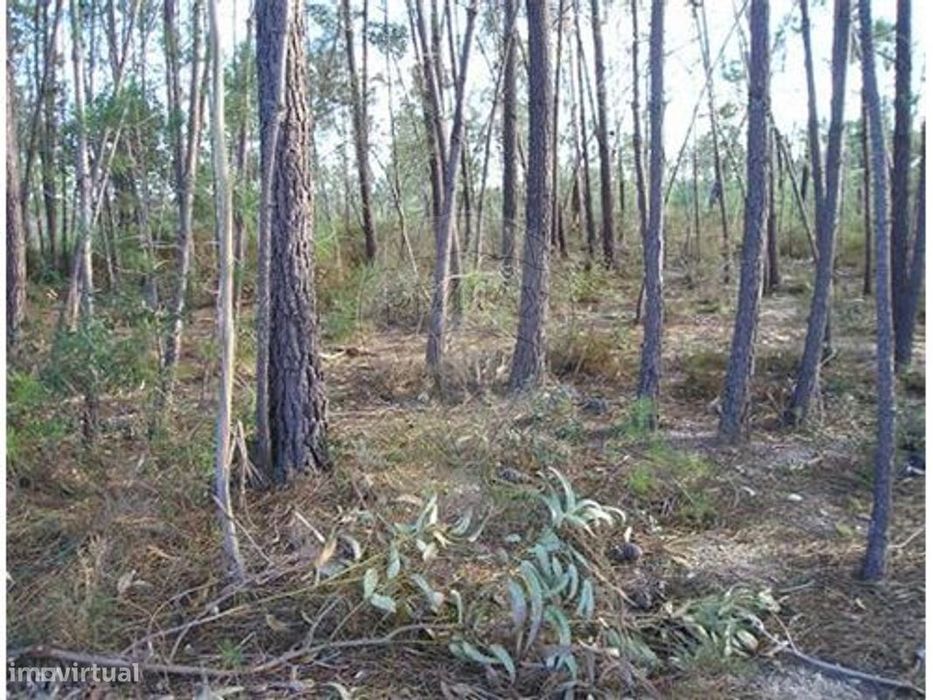 Quinta T0 para venda