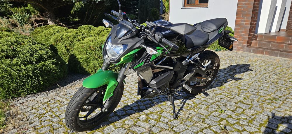 Kawasaki Z125, rok 2024
