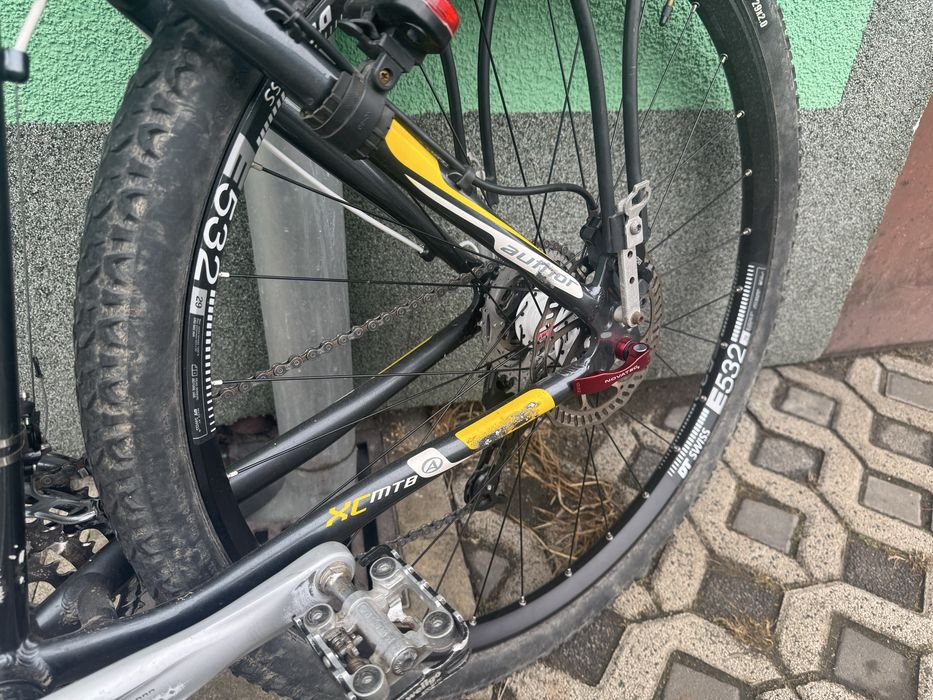 Author Dexster 29er 19