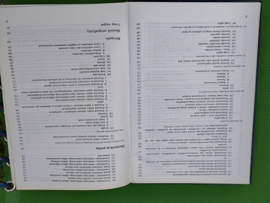 Słownik ortograficzny języka polskiego