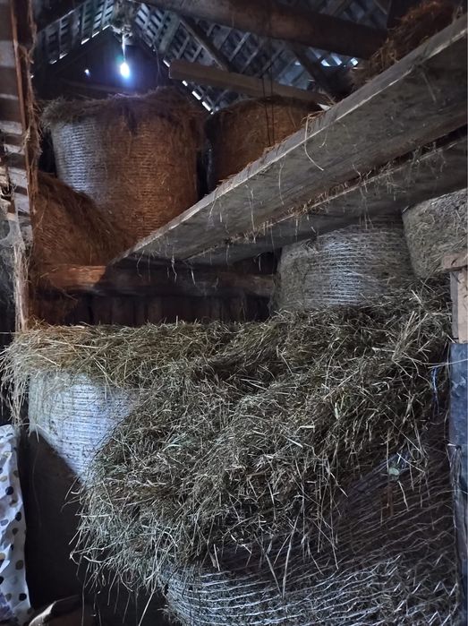 Sprzedam Baloty Siana 120x120