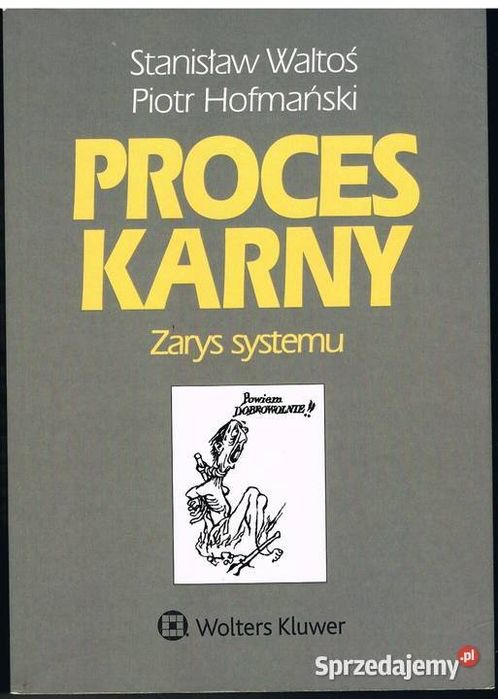 Proces karny - Zarys systemu