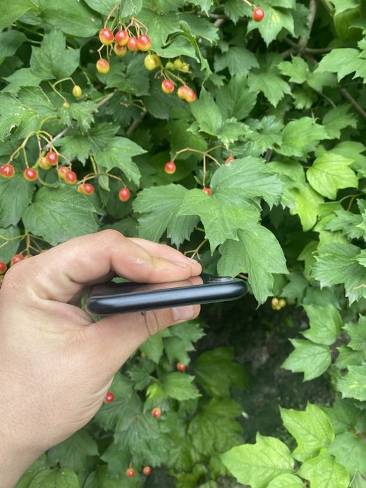 Айфон хр ідеальний стан