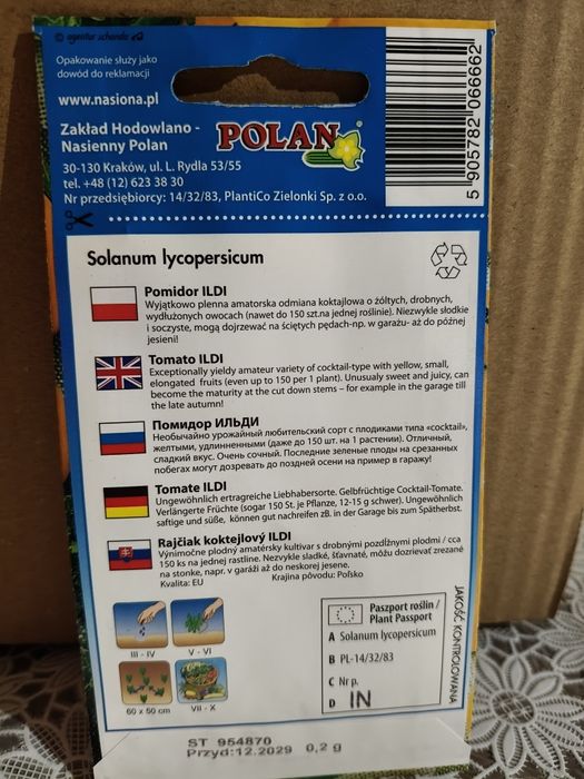 Pomidor czereśniowy Ildi