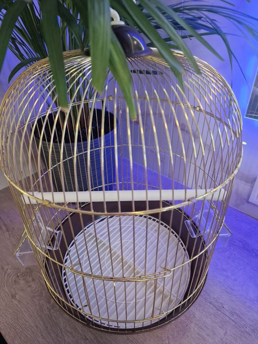 Золота клітка для птахів, розмір 33×53 см