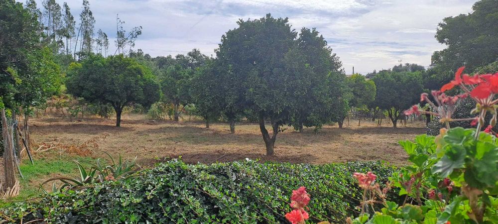 Quinta com 10 hectares, Cernache do Bonjardim, no Centro de Portugal.