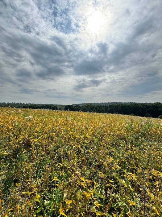 Продаж земельної ділянки, ПРИВАТИЗОВАНА. Масив Європейський. 2 Га