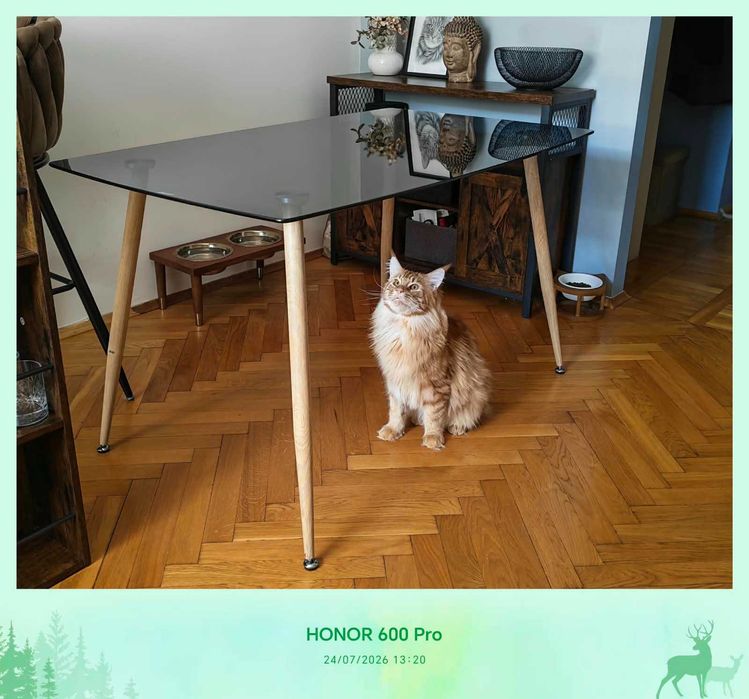 Stół szkło hartowane piękny szary odcień
