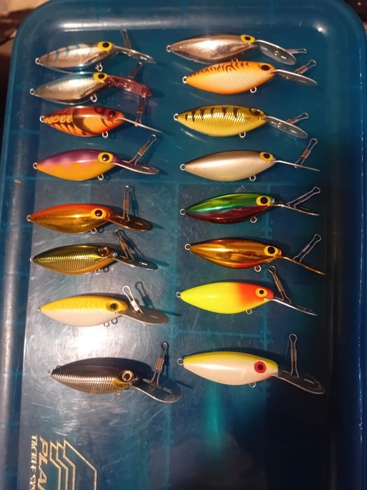 Amostras pesca de achigã