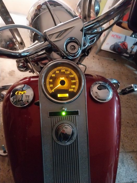 Road King vendo contrariado