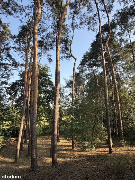 Domek letniskowy