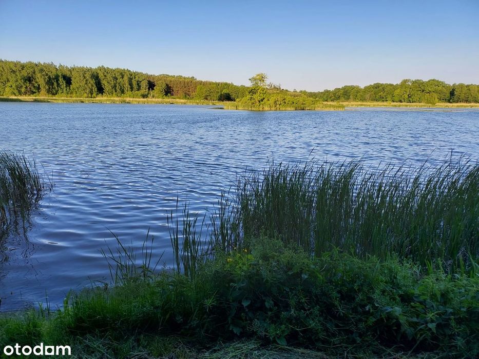 ELegancki dom z pięknym ogrodem i okolicą, 1 km od Krasnegostawu