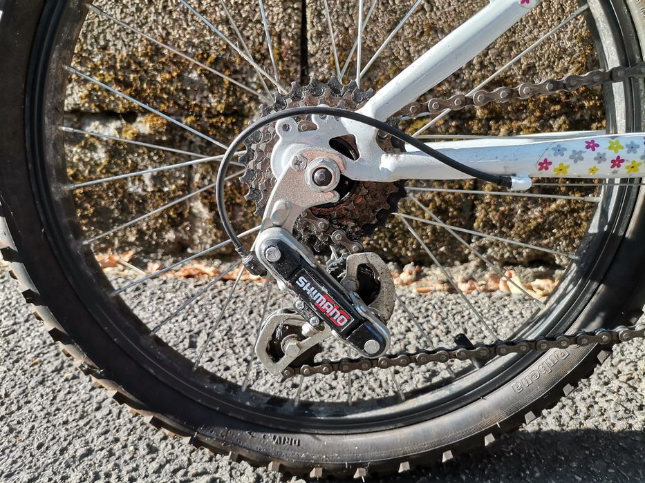 Bicicleta - Menina - Berg - Charm 205 - R20