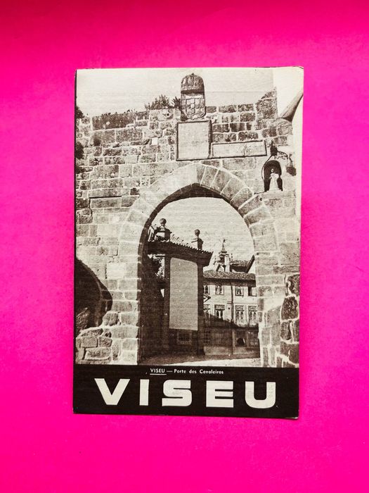 Viseu - Autores Vários