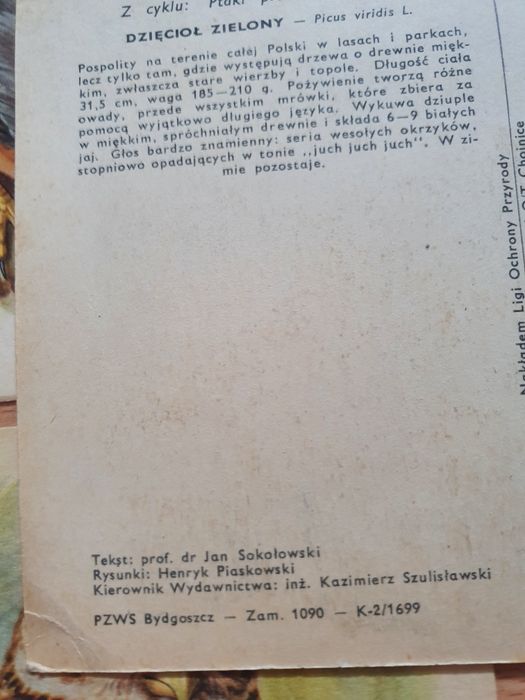 Komplet pocztówek Ptaki prawnie chronione