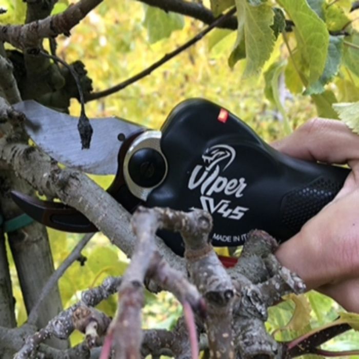 TESOURA PODA BATERIA ZANON VIPER SV45 (DRIVE 300.S)