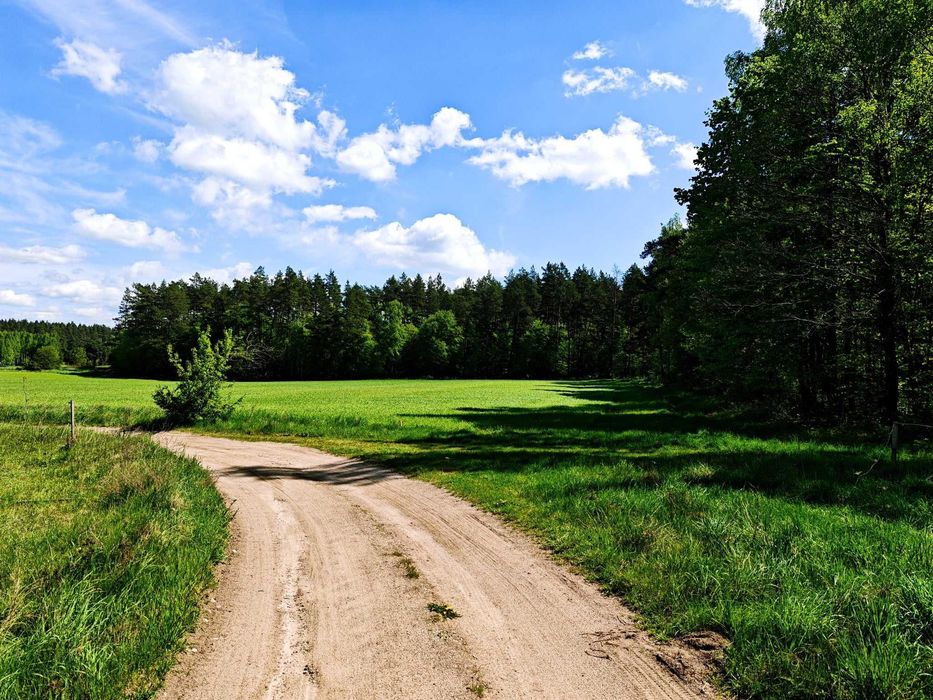 Działka budowlana, 10ar, las, Mazury, bezterminowe Warunki Zabudowy
