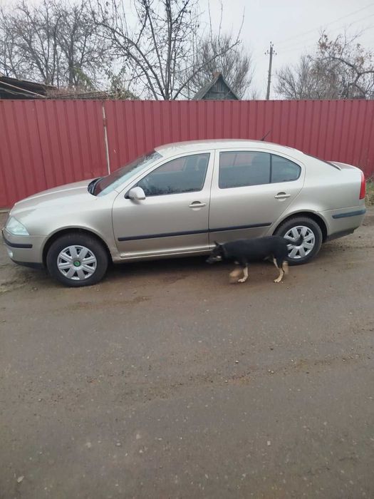 Skoda Octavia 1.6 газ/бензин 2006 року