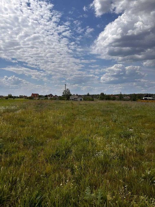 Продам земельну ділянку біля лісу!