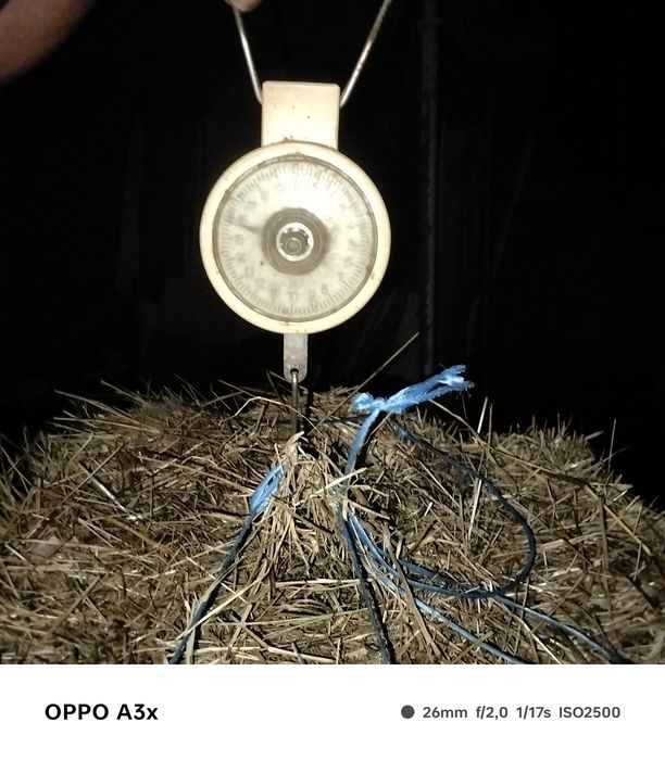 Продам сіно тюковане