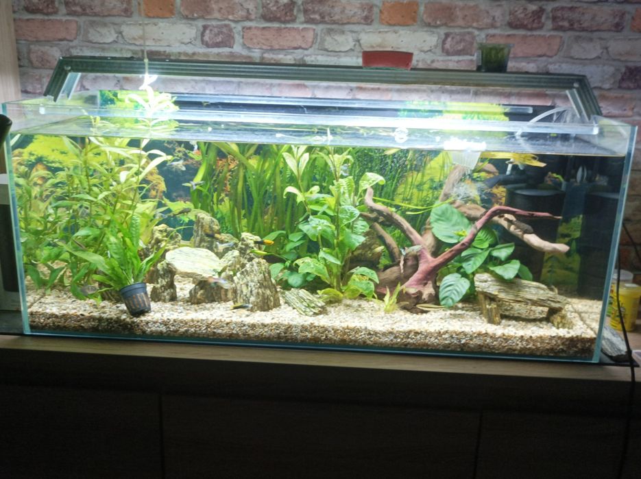 Akwarium 160 litrów opti white
