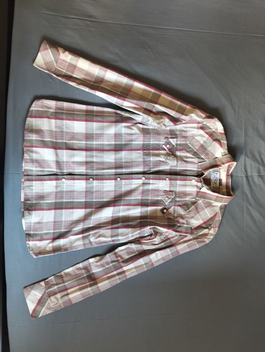 Camisas de homem Levis