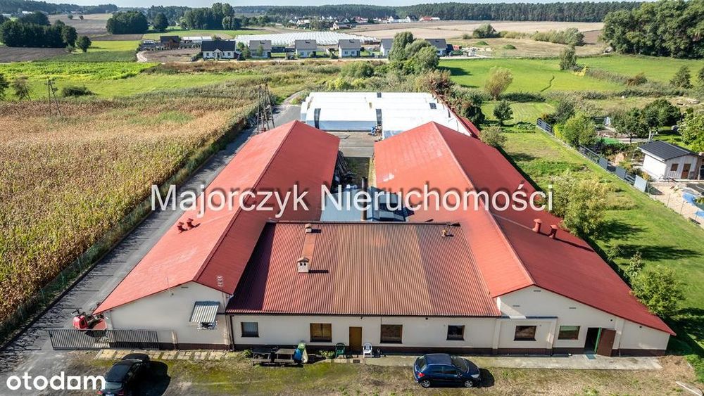 Duża nieruchomość inwestycyjna - Włoszakowice - Widok 2