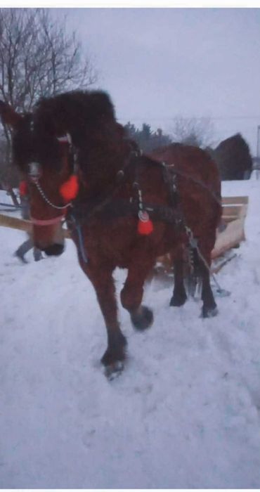 Dla kazdego cos dobrego