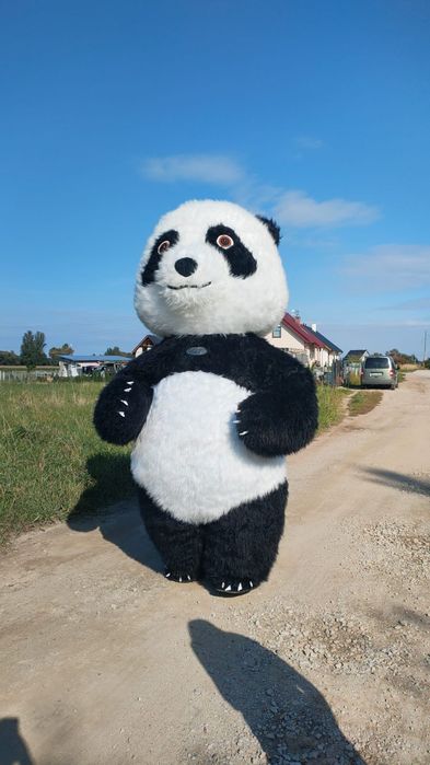 Wynajem dmuchanego stroju   Panda i stitch oraz biały mis