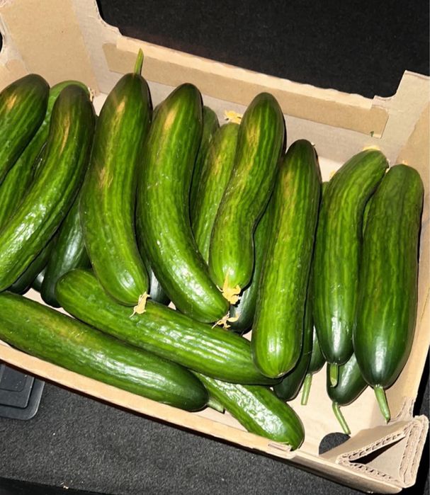 Огурец свежий, Огірок свіжий