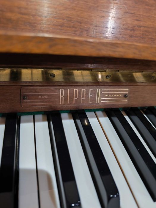Pianino Rippen holenderskie