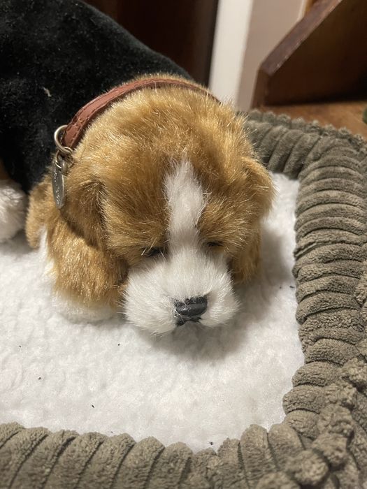 Brinquedo cao de peluche