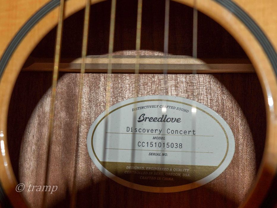 Gitara akustyczna Breedlove Discovery Concert