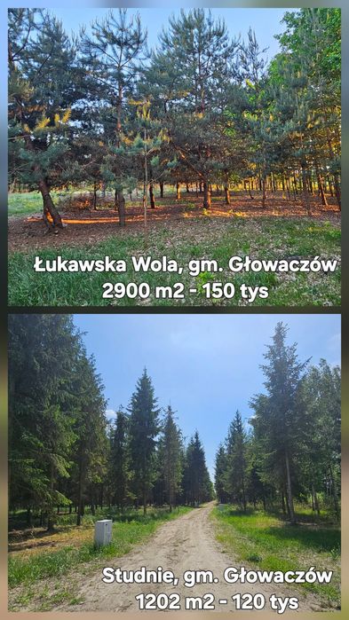 Działka budowlana 1208 m²; Warunki Zabudowy; 26-903 Bobrowniki - Więcej