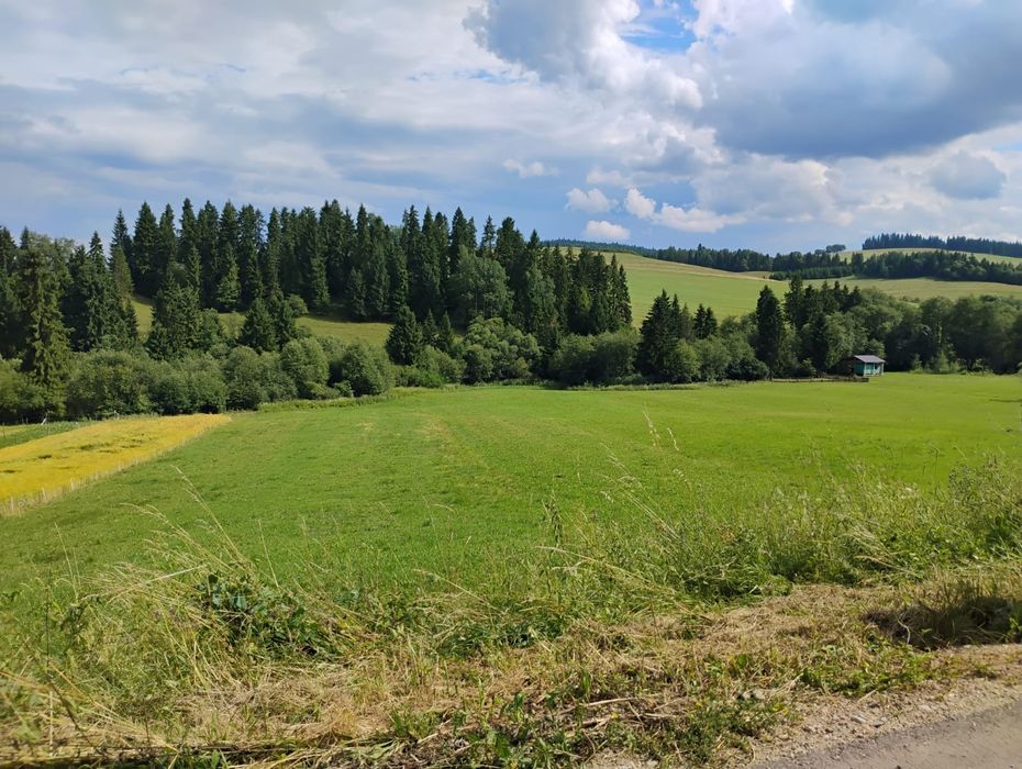 Działka rolna na sprzedaż